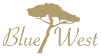 Agence immobilière Blue West - Paris, Bordeaux, Lège-Cap Ferret